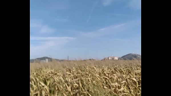 Ověřovac&iacute; video 