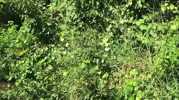 House under Brian_s POA