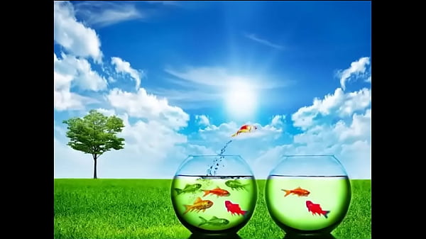 The_Secret Quartet Spend today