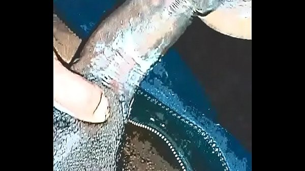 Comiendo verga en casa 