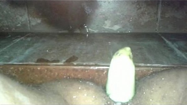 Untitled X264 thumbnail