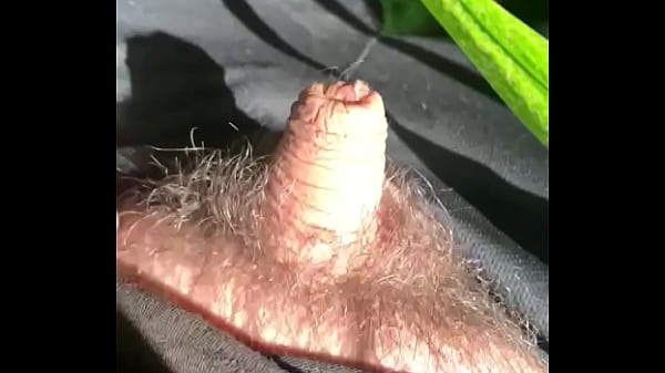 Small penis 
