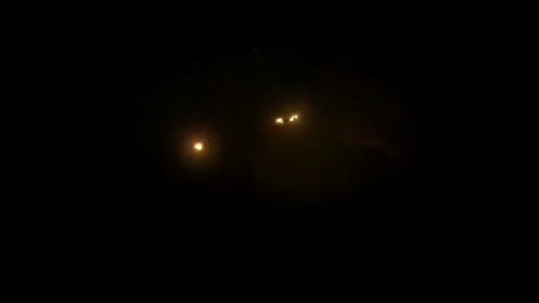 Nonton [dry] Anal-o-ween Orgy Slutty Witch Alice Maze Destroyed By Freaks Studs, Dp/dap, Dp With Base-ball Bat [part 2] thumbnail