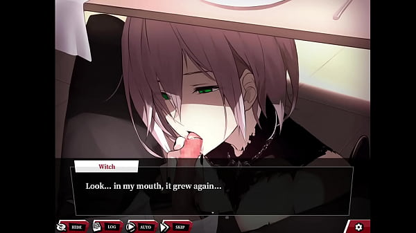 Witch_H-Scene 02 (Fate/Empire of Dirt) - ENG_Translation