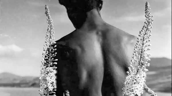 Retro Bisexual thumbnail