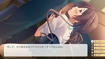 PC Game【Love, Election and Chocolate】H Scene - Isara 03 