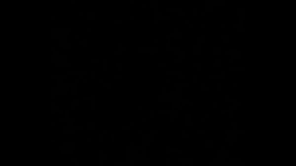 Cumming fast while roomies are busy with family audio only