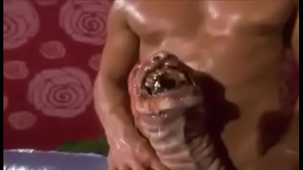 Play MP4 - Monster Penis WTF