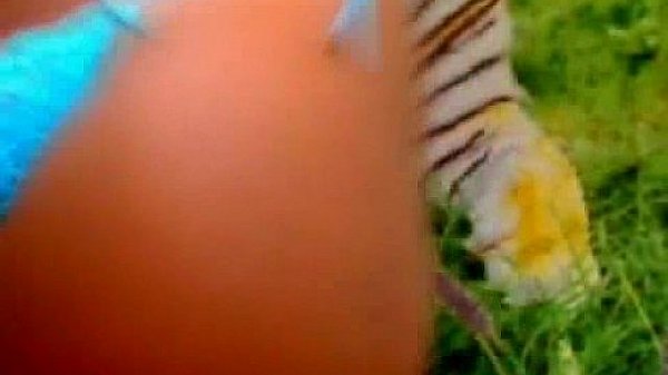 Huge Black Boobs on Cam! 