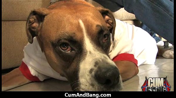 Ebony Hottie Gangbang And_Facefuck27