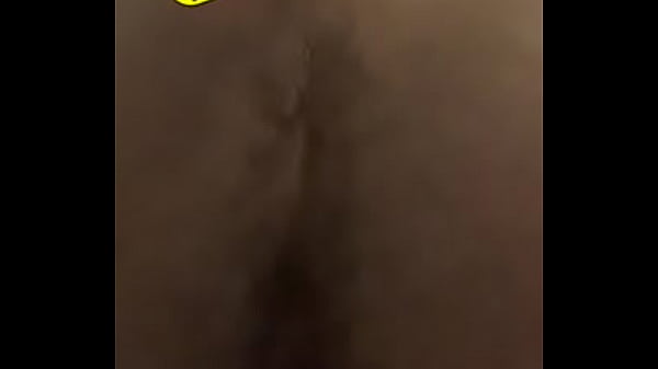 Black Bussy thumbnail