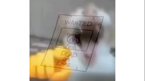 Video del canal haroo 