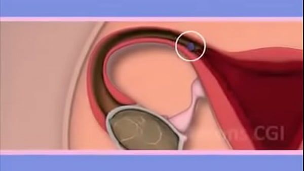 19269912 317733105322522 3478074579409174528 n