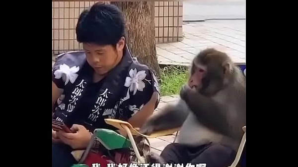 验证视频