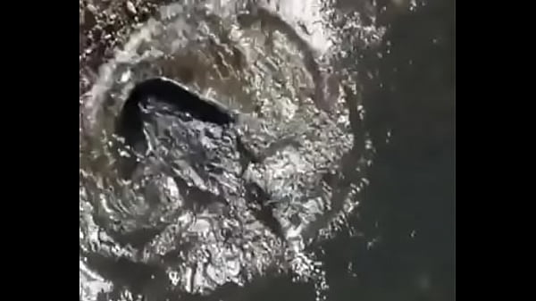 755362 524093004288135 49955 n