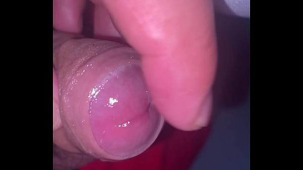 Pekeshow1620 update #16 6b3b3d4c 2069 49f3 97ea 607a8f23feed mar 23 2025 