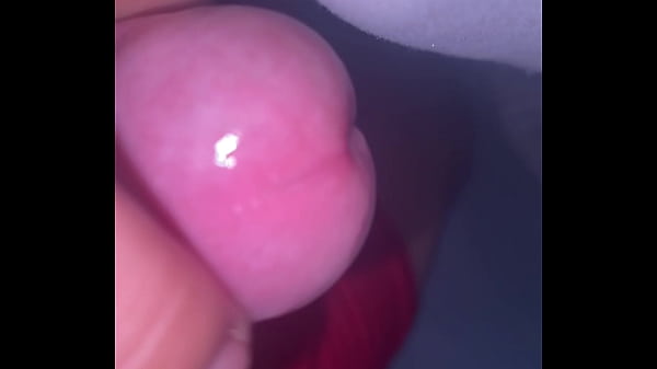 Pekeshow1620 update #16 6b3b3d4c 2069 49f3 97ea 607a8f23feed mar 23 2025 