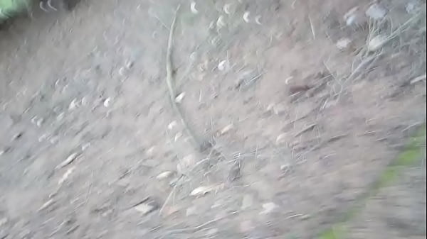 Adidas versus mravency part 4 po 4 dnech v mraveni&scaron;ti