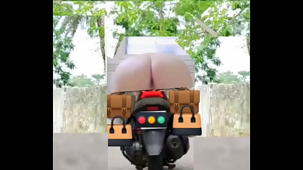 Zea812 - update #213 - 1000057615 - Jul 05, 2025