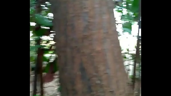 Pega&ccedil_&atilde_o mata