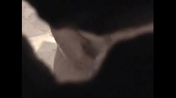 Nonton Espiando A Brenda thumbnail