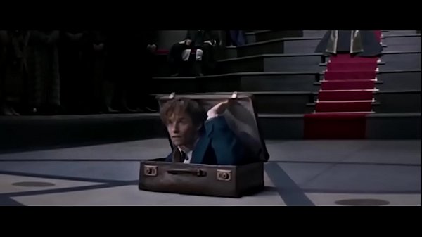 CHOQUE DE CULTURA 1 Harry Potter Sem_Harry Potter