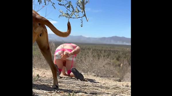 Play MP4 - Walking the Dog 2