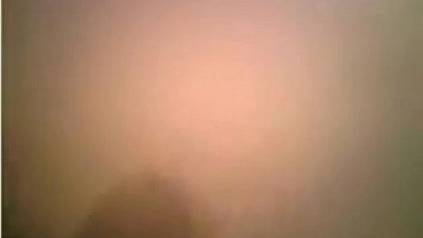 Almost all cutest golden haired shows her 4 