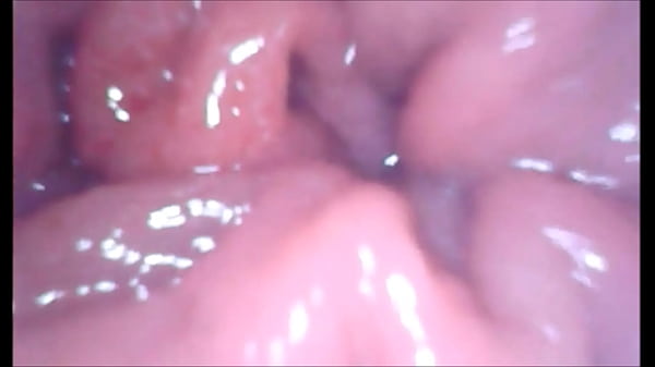 Cock Tip view when enter for anal pussy. 