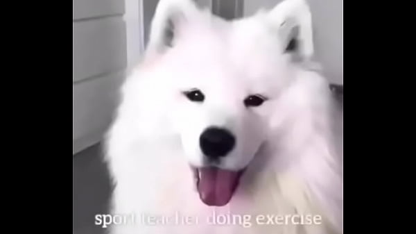 Play MP4 - Girl fucks doggiestyle