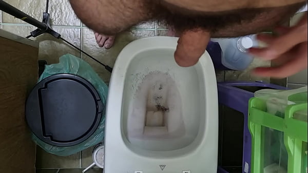 Peludo dando uma geral na mata 