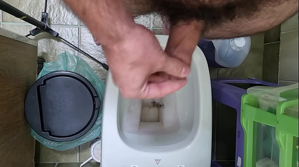 Play MP4 - Peludo dando uma geral na mata