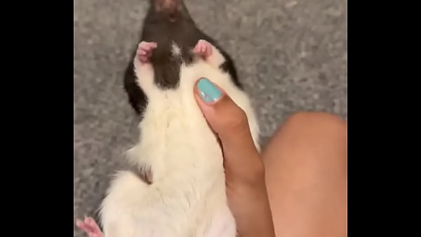 Colby this rat is so full of personality i love him so much he&rsquo;s such a good rodent  1234567891011121314151617...72Next SEXBOKEP adalah Website Bokep Indonesia Terbaru dan Terlengkap Gratis dimana Anda dapat menonton streaming video bokep dan download vidio bokep terbaru yang sedang viral dengan aplikasi bokep android, Aplikasi bokep free download simontok app terbaru 2026 for PC Mobile Online dan HP     Contact Us   DMCA   Disclamer   Privacy and Policy   Conditions of Use  &copy; 2026 SEXBOKEP All rights reserved