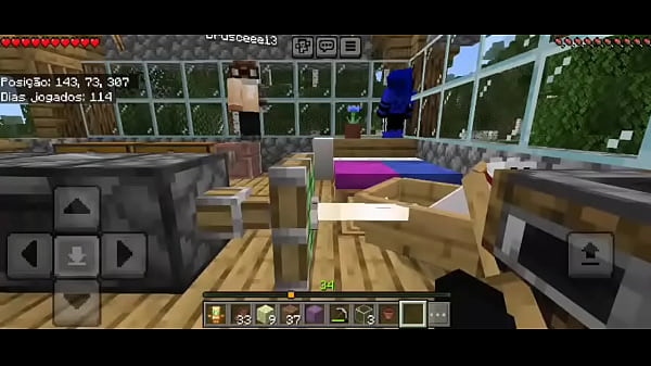 V&iacute_deo de verifica&ccedil_&atilde_o