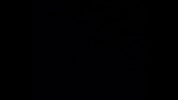 Nonton Doggy Lovers thumbnail