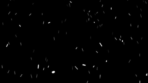 dragon ball homo erotic fantasies. 