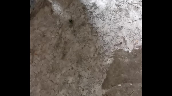 Hiteles&iacute_tő vide&oacute_