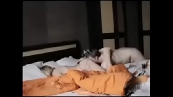 One_Nightstand AfterParty fucking with Cougar