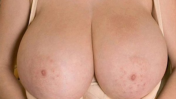 Worlds biggest tits greatest boobs and busty bigtits 2