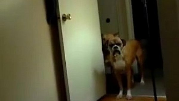 Amateur Teen Videos on CinemaTub -1 