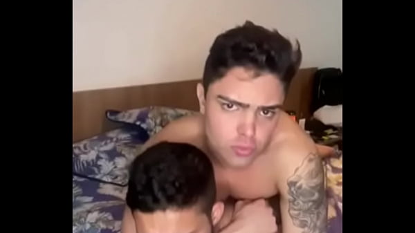 Meu Vizinho Gato acabou na minha cama 