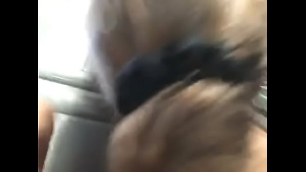 Nonton 52444449652 1cc5784a-7839-4031-ba08-043afe55d200.mov thumbnail