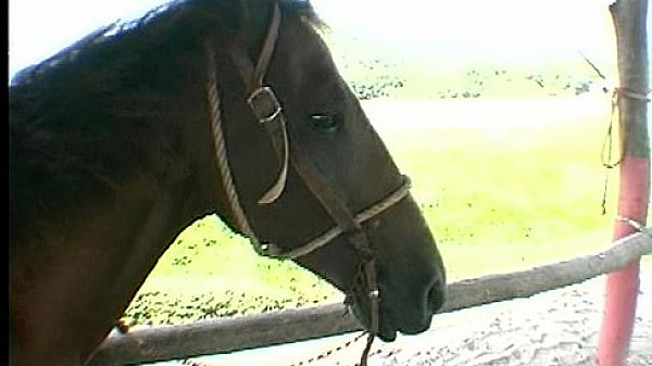 Fucking while riding a