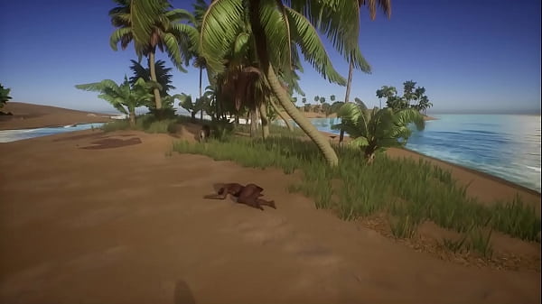 Wildlife Sex 