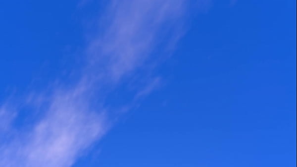 Nonton Uma Musume Mmd Rice Shower Hentai Dance thumbnail