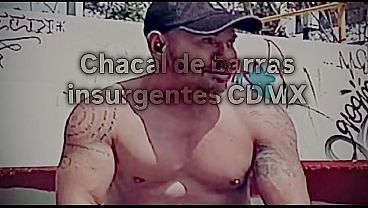 Chacal de barras insurgentes es humillado como puta marica a cambio de algo de dinero