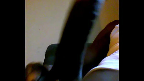 Play MP4 - VIDEO0040