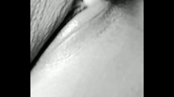 Perrita pidiendo verga 