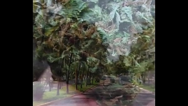 Betray me kube new song released aurorafoc sellofijo 2021 