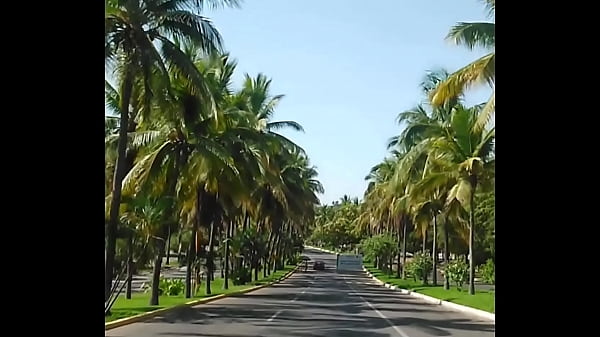 Nonton Betray Me - Kube (new Song Released) Aurorafoc / Sellofijo 2021 thumbnail